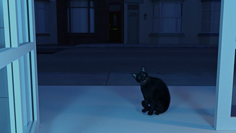 Screenshot 19