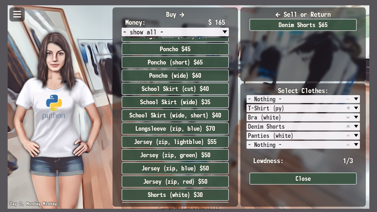 Screenshot 13