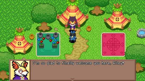 Screenshot 13