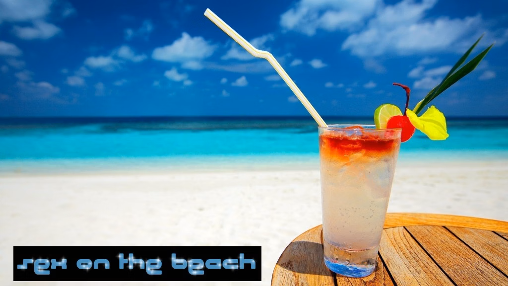 Sex on the Beach — free HTML adult game download