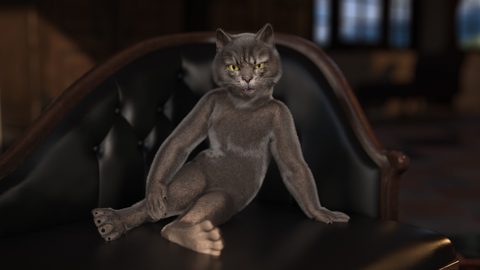 Screenshot 21