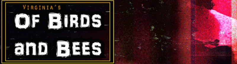 Of Birds and Bees