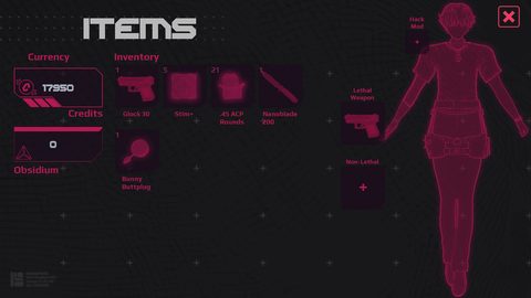 Screenshot 13