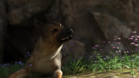 Screenshot 13
