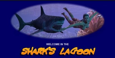 Shark's Lagoon Collection