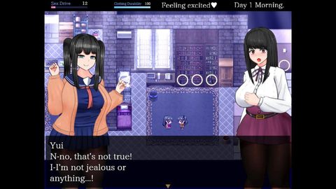 Screenshot 13