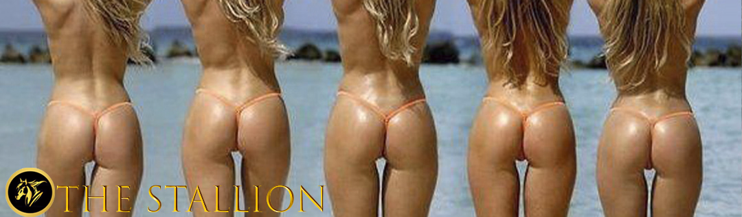 The Stallion — free Ren'Py adult game download