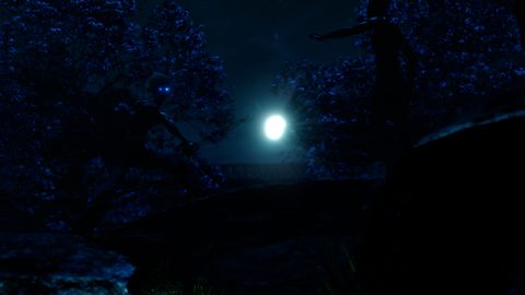 Screenshot 24