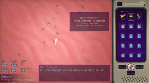 Screenshot 17