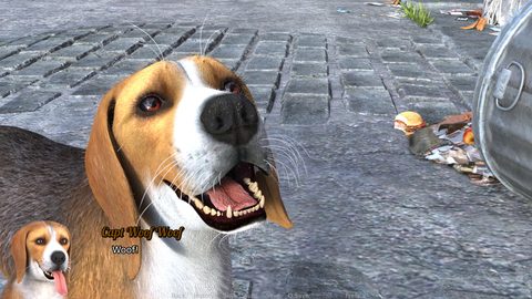Screenshot 13