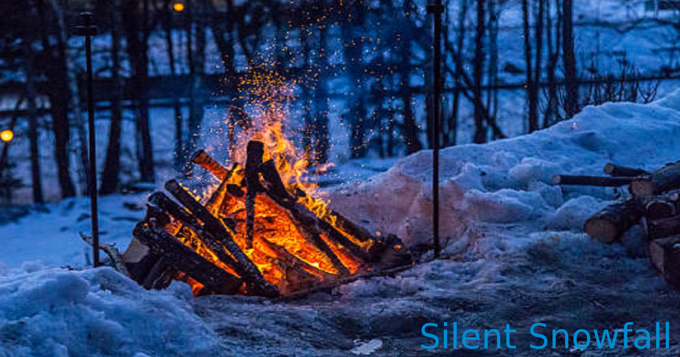 Silent Snowfall