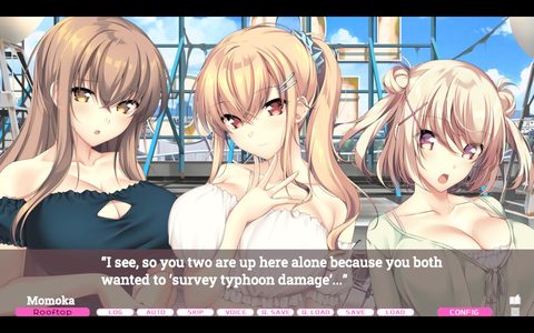 Screenshot 12