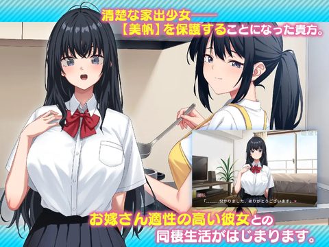 I Picked up a Runaway Girl screenshot 1