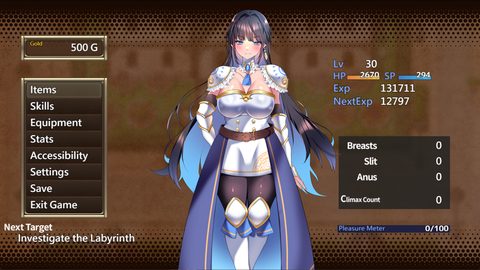 Lady Knight: The Succubus Labyrinth screenshot 5