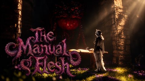 The Manual of Flesh