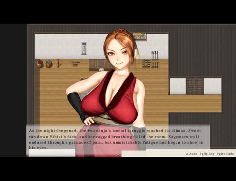 The Kan'ei Bedchamber War screenshot 4