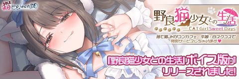 Life with a Stray: CAT Girl Sweet Days