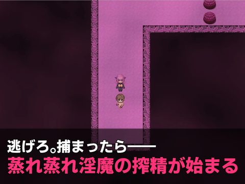 Succubus Escape! ~Escape from the Lustful Forest~ screenshot 1