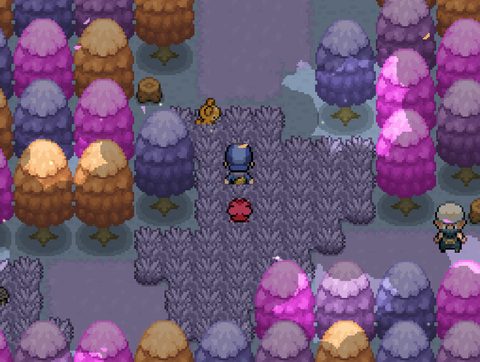 Pokémon Deranged Edition screenshot 8
